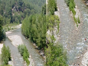 Hes alanında 178 hayvan türü koruma altında