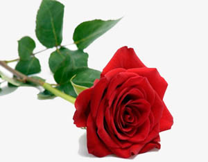 Her dinin kendine has bir ahlakı var, İslam'ın ise