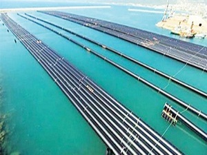 Kıbrıs'ın can suyu Alaköprü Barajı sona yaklaştı