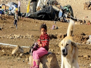 Ürdün Vadisi'nde işgalci yıkımı