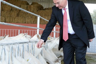 Koyun ve keçi sütünde de referans fiyat isteniyor