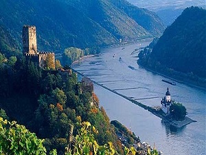 Balıklar Ren Nehri'ne geri dönüyor