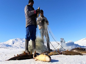 Buz tutan gölde balık avı