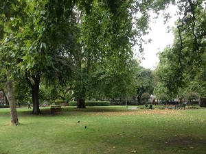 Yeşil alan mutluluk veriyor