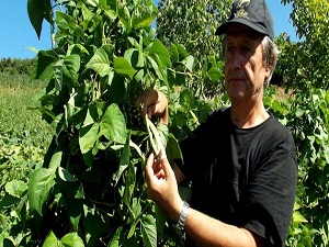 Pazarın en pahalısı o sebze oldu