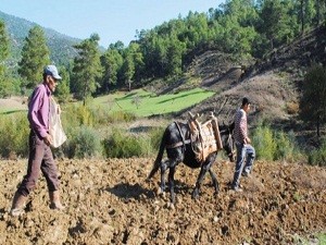 Kuraklık eylem planı yolda