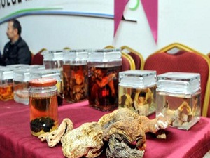 Zehirli mantarla ilgili '48 saat' uyarısı