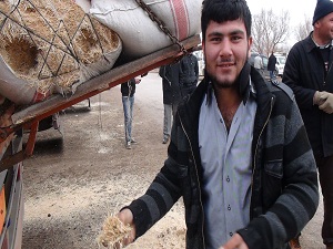 'Kuraklık saman fiyatlarını uçuracak' endişesi