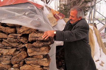 Kat kaloriferinde tezek yakarak ısınıyorlar