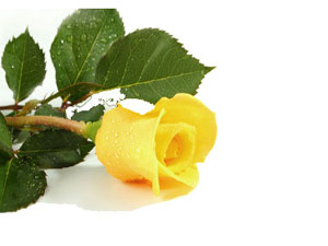 Kişi yeme içmeyi azalttığında içine nur dolar