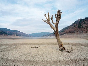 Kuraklık korkutuyor! Barajlar dip yaptı