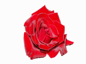 İnsanların hırsızlık bakımından en kötüsü namazından çalandır