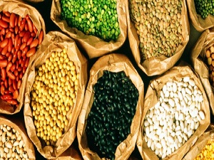 Kuru fasulyeyi zamda yalnız bırakmadılar