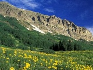 Türkiye’nin biyolojik çeşitlilik haritası oluşturuluyor