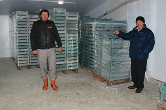 Rizeli balıkçılar: Balık fiyatları artacak