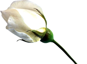 Allah nazarında en kötü olanlardan bir kısmı da iki yüzlüler