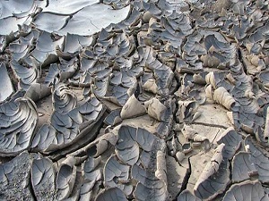 Kuraklık yüzünden tarlalarda tohumlar çürümeye başladı