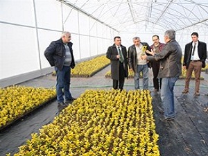 Azeri ormancılar Türkiye'de