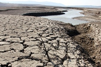 Kışı kurak geçiren Sakarya, Mart ayı yağış ortalamasını yakaladı
