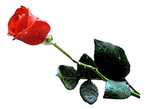 Allahım, beni şükrünü, zikrini çok eden eyle