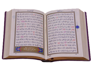 Ey insanlar! Bize kuşların dili öğretildi