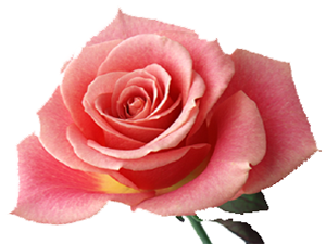 Allah eski dostluğu devam ettirmeyi sever