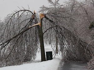 Afetlerin Kanada’ya faturası 3,2 milyar dolar