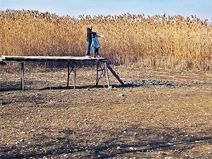 Sapanca Gölü'nün ölümüne 50 santimetre kaldı