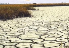 Türkiye İçin Ürküten Rapor