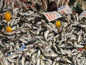 Mevsim sıcaklığı balık fiyatına aksetti