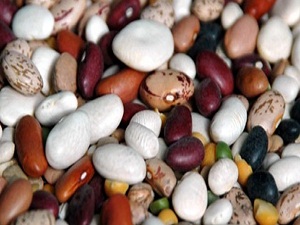 İthal kuru fasulye Türk damak tadına uymuyor