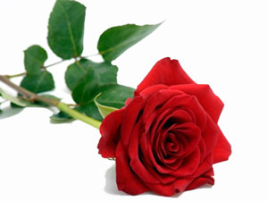 Efendimiz’e (asm) 16 milyon salâvat