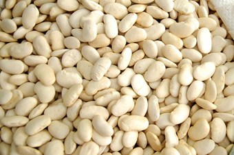 Kuru Fasulye Ekim Alanında Yüzde 45 Oranında Azalma Oldu