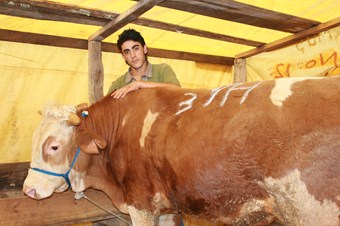 ‘Çalışma izin belgesi’ olmayan hayvan ticareti yapamayacak