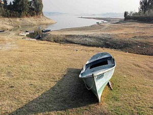 'Dünyada gıda sıkıntısı var'