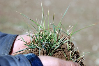 22 milyon ton üretimi olan Ova en kurak dönemini yaşıyor