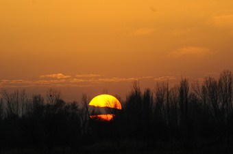 Türkiye'nin dördüncü büyük barajında da su seviyesi düştü