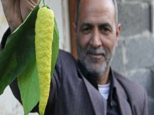 Bunun ne olduğunu tahmin bile edemezsiniz!