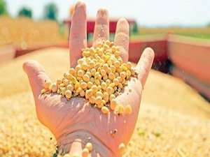 Stokçular ters köşe