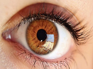 Dikkat! Havalar soğuyunca ortaya çıkıyor