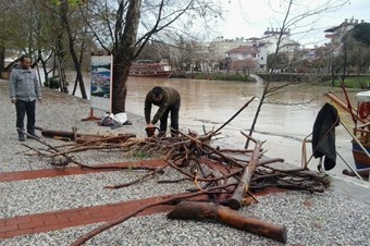 Kışlık odun ihtiyaçlarını Manavgat Irmağı'ndan çıkarıyorlar