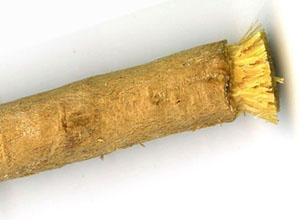 Misvağın bilimsel olarak kanıtlanmış faydaları