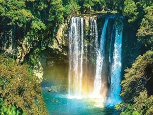 Güney Kore'nin renkli gururu