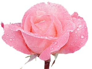 Bir kelime ile cennet ve cehennemdeki derece değişir