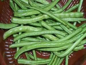 Börülce her derde deva