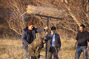 Osmaniye'de su kuşlarına yuva yapıldı