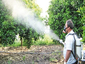 İlaç kalıntısında Avrupa’dan iyiyiz