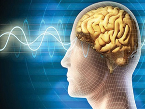 Beyinde 'iyi karar alan' bölüm keşfedildi