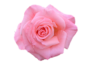 Veren el alandan daha hayırlıdır