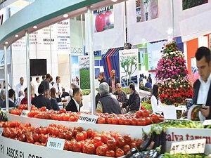 İsrail'e 3 günde bir 1550 ton sebze-meyve